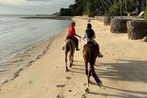 Passeios a cavalo e trilhas na praia em Koh Samui