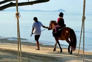 Passeios a cavalo e trilhas na praia em Koh Samui