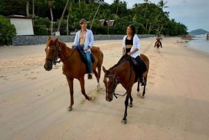 Passeios a cavalo e trilhas na praia em Koh Samui