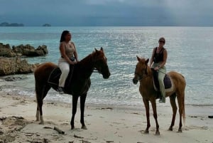 Passeios a cavalo e trilhas na praia em Koh Samui