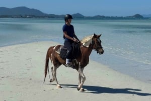 Passeios a cavalo e trilhas na praia em Koh Samui