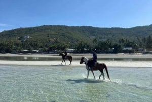 Passeios a cavalo e trilhas na praia em Koh Samui