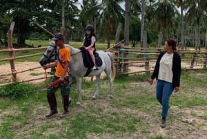 Passeios a cavalo e trilhas na praia em Koh Samui