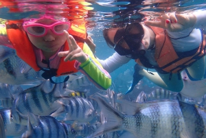 Koh Samui: Island Hopping & Snorkeling with Pig Island Visit