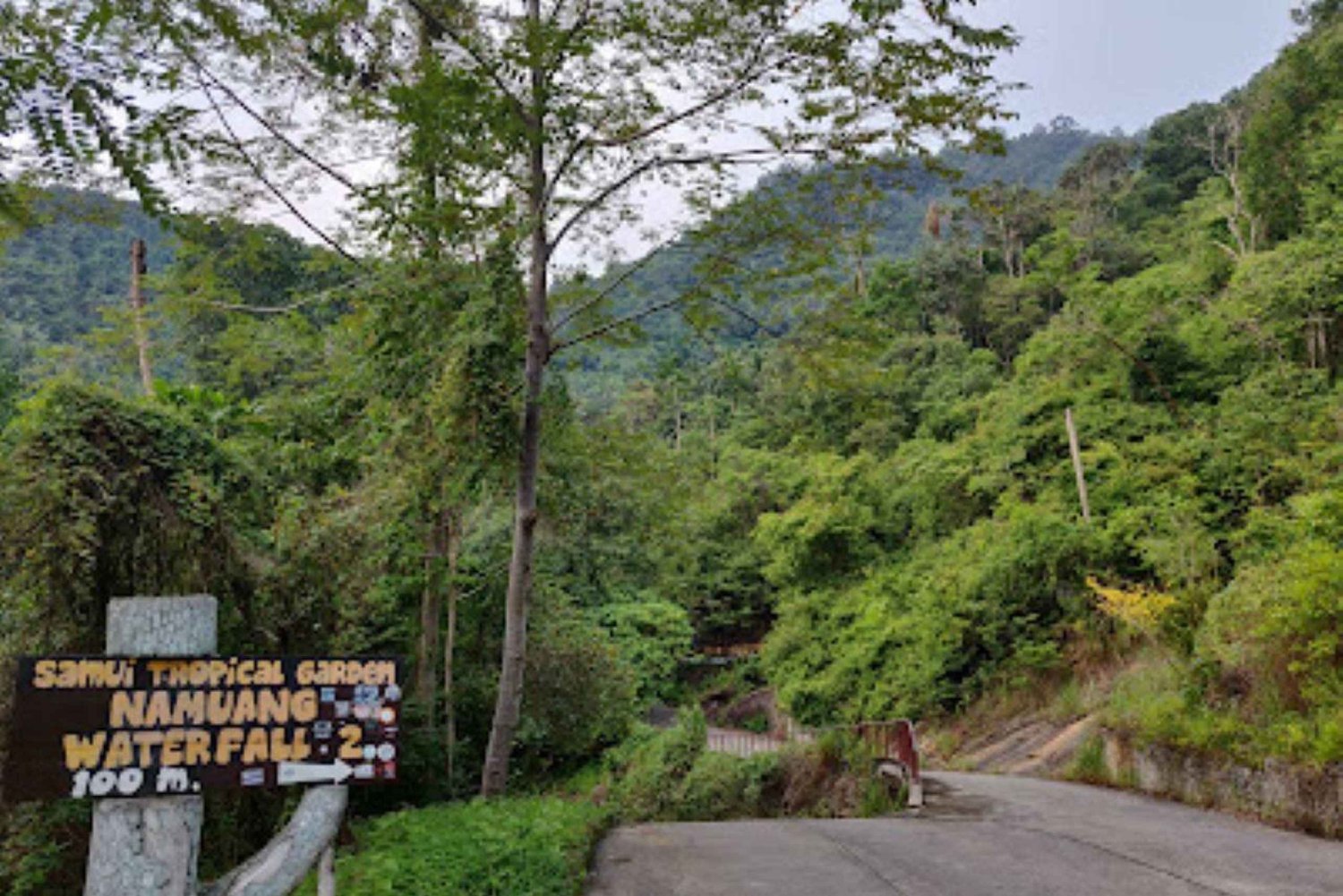 Koh Samui Jungle Adventure: 4x4 Off-Road Safari & Lunch