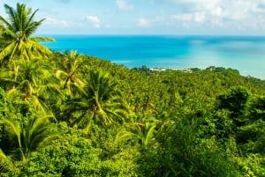 Koh Samui: Dschungel, Berge und Wasserfälle mit dem Quad