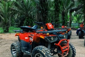 Koh Samui: Dschungel, Berge und Wasserfälle mit dem Quad