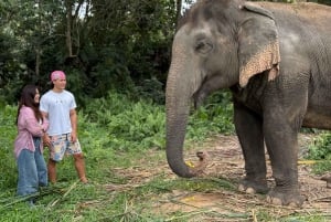 Koh Samui: Jungle Safari Jeep Tour with Elephants Sanctuary