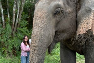 Koh Samui: Jungle Safari Jeep Tour with Elephants Sanctuary