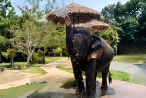 Koh Samui: Jungle Safari Jeep Tour with Elephants Sanctuary