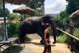 Koh Samui: Jungle Safari Jeep Tour with Elephants Sanctuary