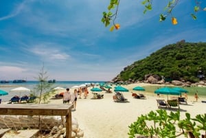 Koh Samui: Ko Tao & Ko Nang Yuan Premium Speedboat Tour