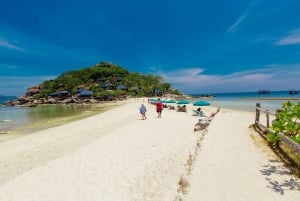 Koh Samui: Ko Tao & Ko Nang Yuan Premium Speedboat Tour