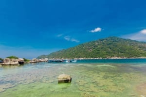 Koh Samui: Ko Tao & Ko Nang Yuan Premium Speedboat Tour