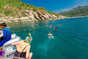 Koh Samui: Ko Tao & Ko Nang Yuan Premium Speedboat Tour