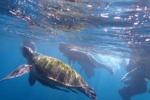 Koh Samui: Ko Tao & Ko Nang Yuan Premium Speedboat Tour