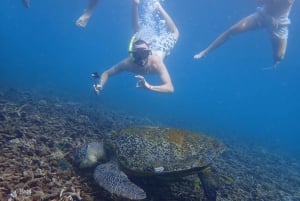 Koh Samui: Ko Tao & Ko Nang Yuan Premium Speedboat Tour