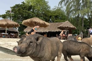 Koh Samui: Koh Madsum & Koh Tan Speed Catamaran Tour