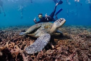 Koh Samui: Koh Tao and Koh Nang Yuan Speedboat Join Tour