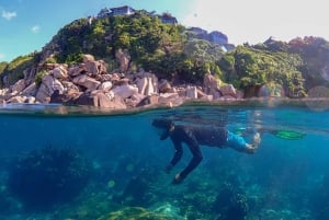 Koh Samui: Koh Tao and Koh Nang Yuan Speedboat Join Tour