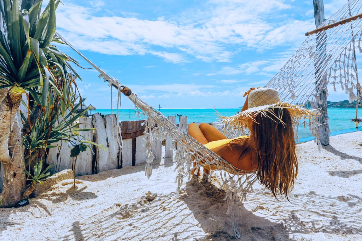 サムイ島：カタマラン船で行くタオ島とナンユアン島シュノーケリングツアー