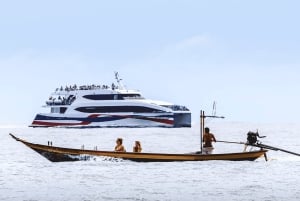 サムイ島：カタマラン船で行くタオ島とナンユアン島シュノーケリングツアー