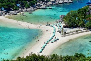 サムイ島：カタマラン船で行くタオ島とナンユアン島シュノーケリングツアー