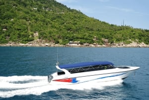 サムイ島：カタマラン船で行くタオ島とナンユアン島シュノーケリングツアー