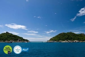 Koh Samui Koh Tao & Koh Nang Yuan Dat Tour By Speed Boat (wycieczka szybką łodzią)