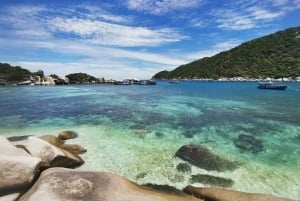 Koh Samui: Koh Tao & Koh Nang Yuan Snorkel Trip with Lunch