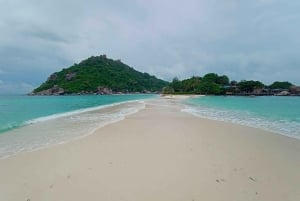 Koh Samui: Koh Tao & Koh Nang Yuan Snorkel Trip with Lunch