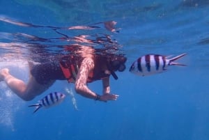 Koh Samui: Koh Tao & Koh Nang Yuan Snorkel Trip with Lunch