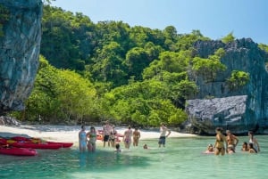 Koh Samui: Mu Ko Ang Thong Park Cruise with Kayaking Option