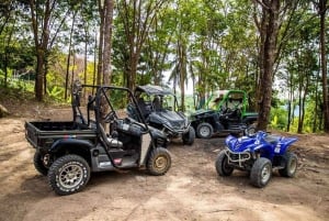 Koh Samui: Off-Road Buggy Jungle Safari