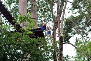 Koh Samui: esperienza panoramica con la zipline alla Samui Zipline