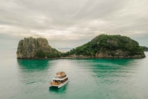 Koh Samui: Varkenseiland en meer premium catamarantour