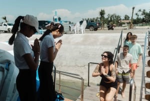 Koh Samui: Varkenseiland en meer premium catamarantour