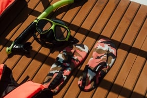 Koh Samui: Varkenseiland en meer premium catamarantour