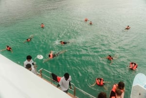 Koh Samui: Varkenseiland en meer premium catamarantour