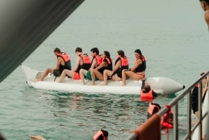 Koh Samui: Varkenseiland en meer premium catamarantour