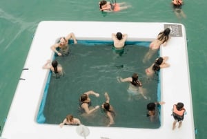 Koh Samui: Varkenseiland en meer premium catamarantour