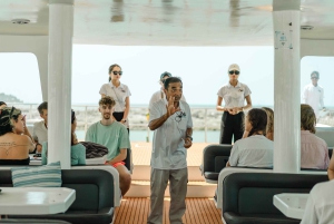 Koh Samui: Varkenseiland en meer premium catamarantour