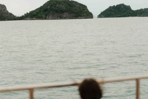 Koh Samui: Varkenseiland en meer premium catamarantour