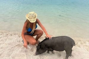 サムイ島：ピッグアイランドへのプライベートロングテールボートとシュノーケリングをご利用ください