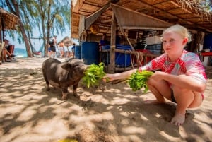 Koh Samui: Pig Island Day Tour by Speedboat