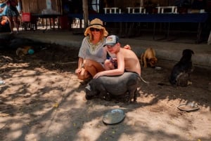 Koh Samui: Pig Island Day Tour by Speedboat