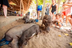 Koh Samui: Pig Island Day Tour by Speedboat