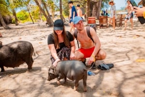 Koh Samui: Pig Island Day Tour by Speedboat