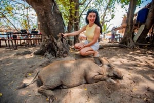 Koh Samui: Pig Island Day Tour by Speedboat