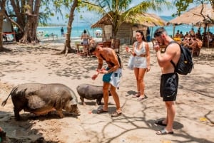 Koh Samui: Pig Island Day Tour by Speedboat